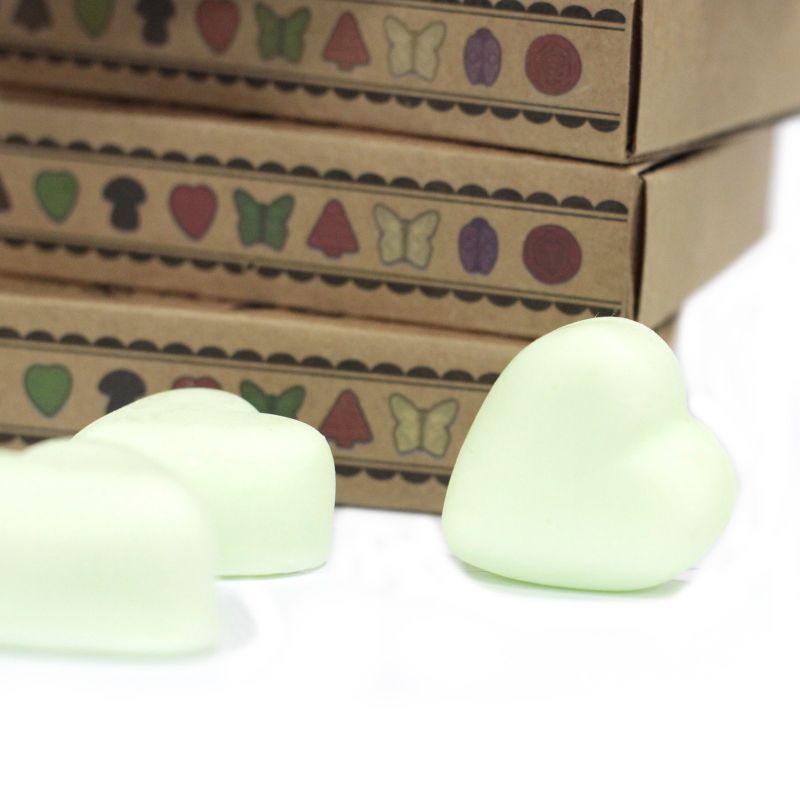 Doos met 6 Sojawas Melts - Munt en Menthol