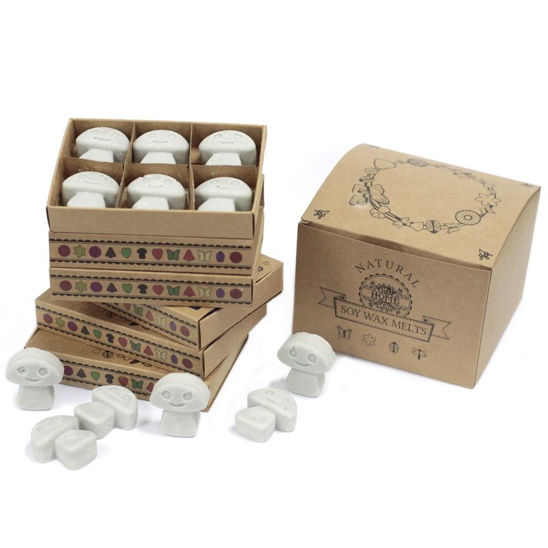 Doos met 6 Sojawas Melts - Donkere Patchoeli