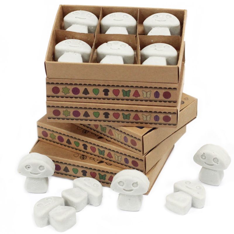 Doos met 6 Sojawas Melts - Donkere Patchoeli