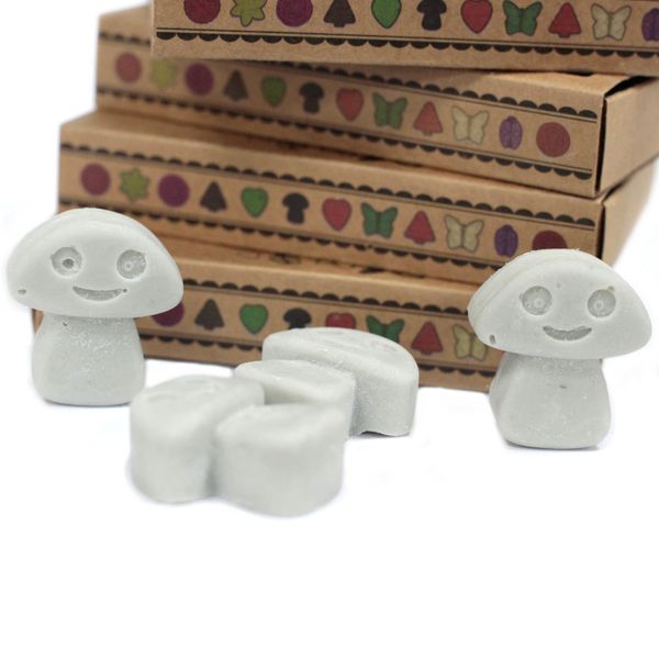Doos met 6 Sojawas Melts - Donkere Patchoeli