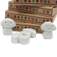 Doos met 6 Sojawas Melts - Donkere Patchoeli
