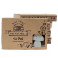 Doos met 6 Sojawas Melts - Donkere Patchoeli