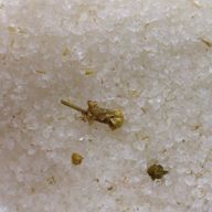 Himalayan Bad Zout Mix 500 gr Huid Verzorging