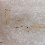 Himalayan Bad Zout Mix 500 gr Energie