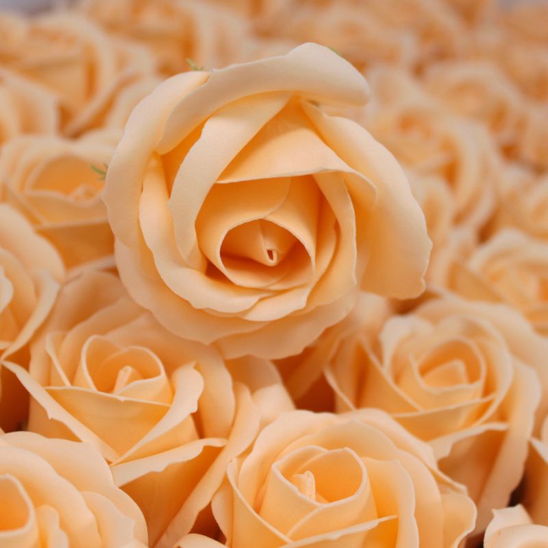 Ambachtelijke Zeep Bloem - Medium Roos - Perzik