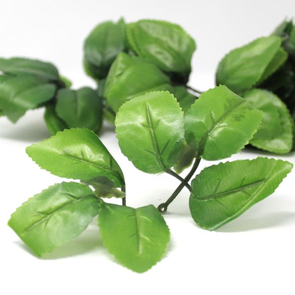 Bloem Bladeren ongeveer 350 stuks (0.5kg)60
