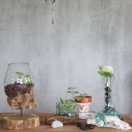 Gesmolten Glas op Houten Stronk - Vaas