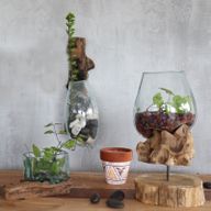 Gesmolten Glas op Houten Stronk - Hangende Kom