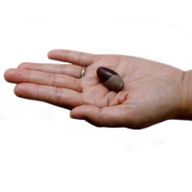 Een inch Lingam - 3 stenen