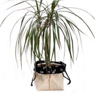 Zwarte voering - Groot