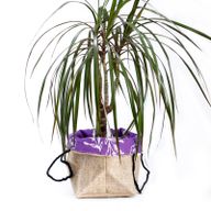Lavendel Voering Groot