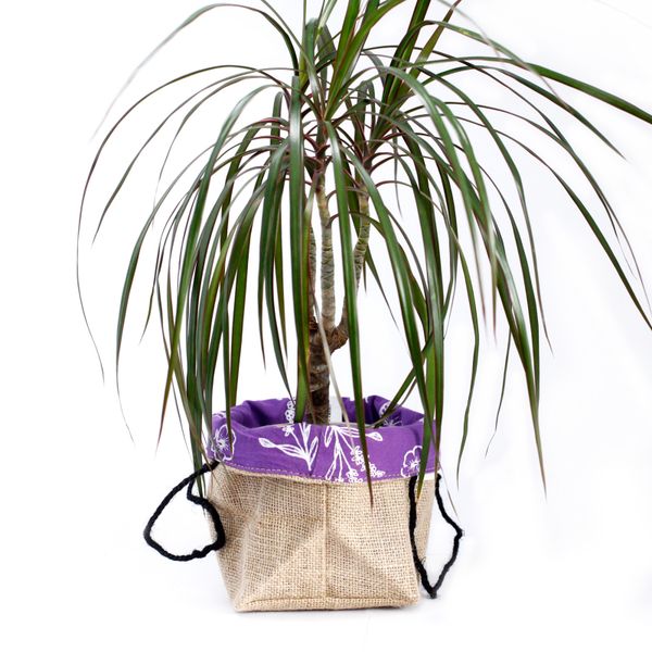 Lavendel Voering Groot