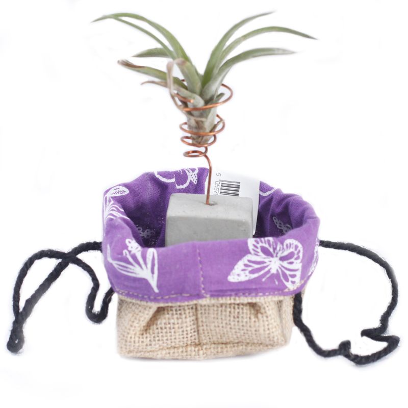 Lavender Lining Klein