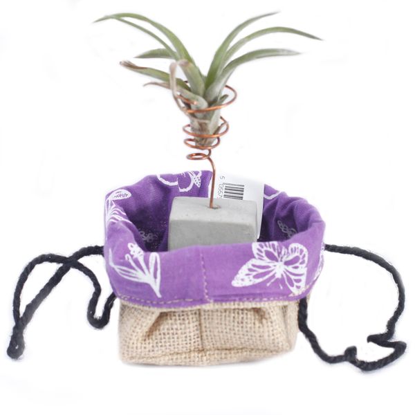 Lavender Lining Klein