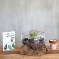 Gesmolten Glas op Houten Stronk - Open - Grote Kom