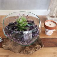 Gesmolten Glas op Houten Stronk - Open - Grote Kom