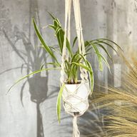 Macramé Plantpot Houder - Extra lang - Voor grote Pot