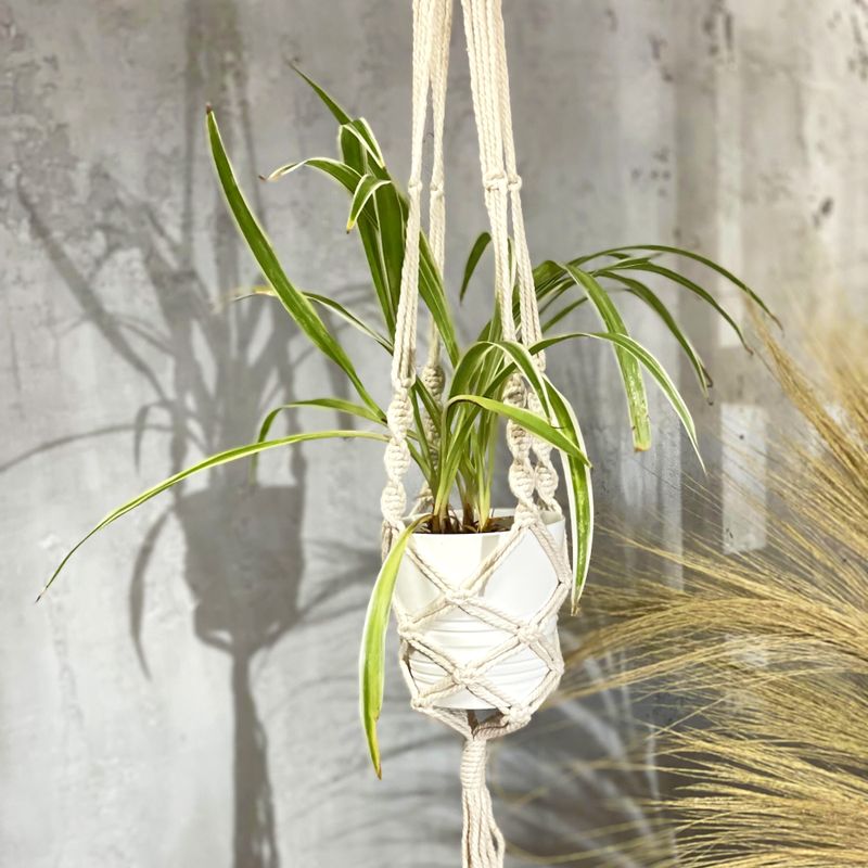 Macramé Plantpot Houder - Extra lang - Voor grote Pot