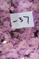 Ambachtelijke Zeep Bloem - Hyacint Knop - Lavendel