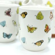 Kruidenthee Servies - Vlinders