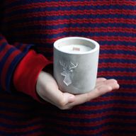 Kaars In Betonnen Pot - Medium - Hert - Whisky & Hout Rook