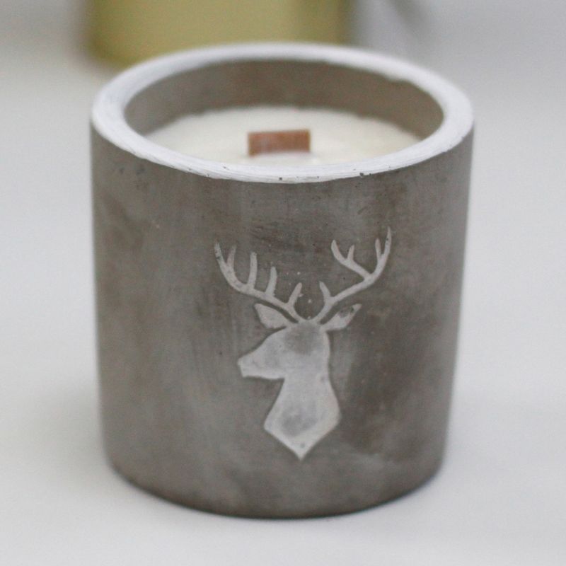 Kaars In Betonnen Pot - Medium - Hert - Whisky & Hout Rook