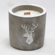 Kaars In Betonnen Pot - Medium - Hert - Whisky & Hout Rook