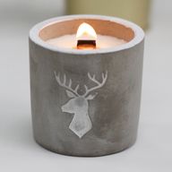Kaars In Betonnen Pot - Medium - Hert - Whisky & Hout Rook