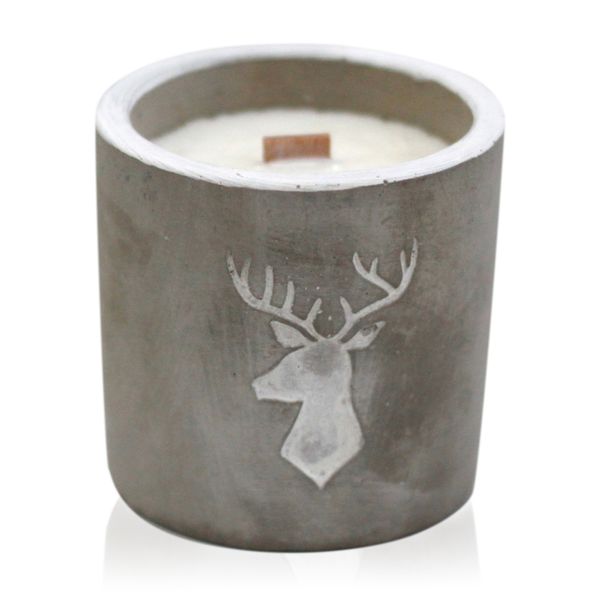Kaars In Betonnen Pot - Medium - Hert - Whisky & Hout Rook