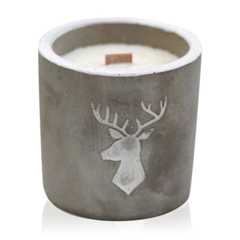 Kaars In Betonnen Pot - Medium - Hert - Whisky & Hout Rook