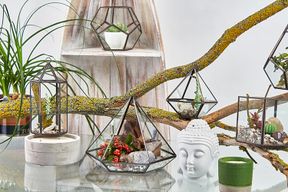 Glazen Terrarium - Kleine Diamant