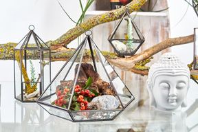 Glazen Terrarium - Kleine Diamant