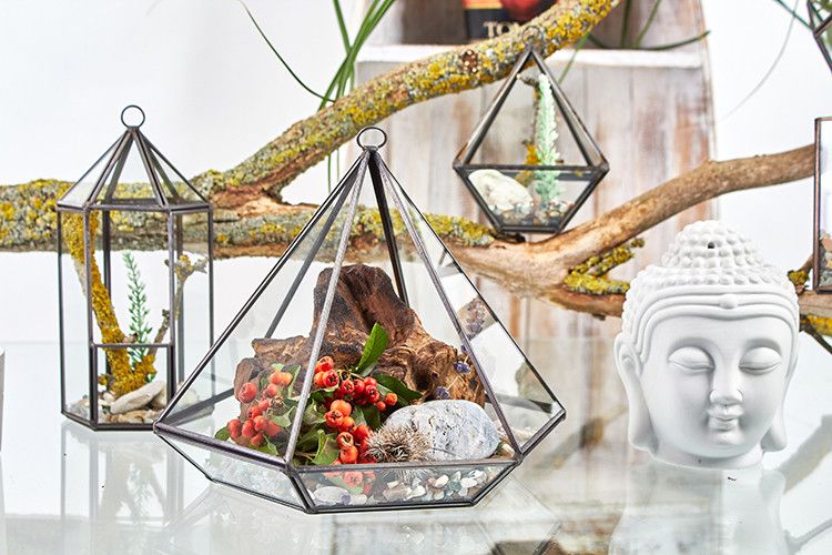 Glazen Terrarium - Kleine Diamant