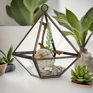 Glazen Terrarium - Kleine Diamant