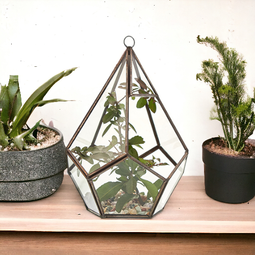 Glazen Terrarium - Grote Piramide