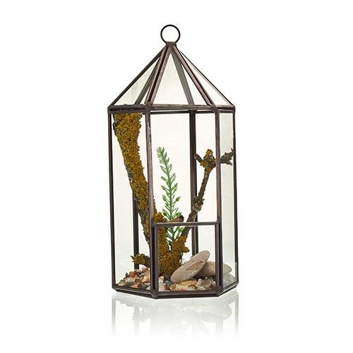 Glazen Terrarium - Lantaarn vorm