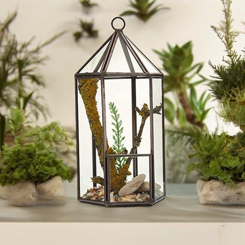 Glazen Terrarium - Lantaarn vorm