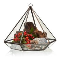 Glazen Terrarium - Grote Diamant