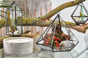 Glazen Terrarium - Grote Diamant