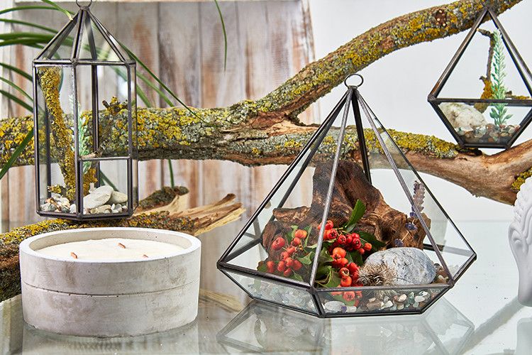 Glazen Terrarium - Grote Diamant