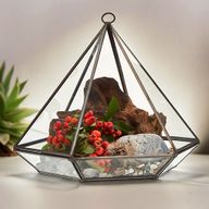 Glazen Terrarium - Grote Diamant