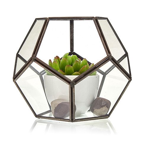 Glazen Terrarium - Grote Achthoek