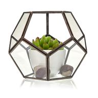 Glazen Terrarium - Grote Achthoek
