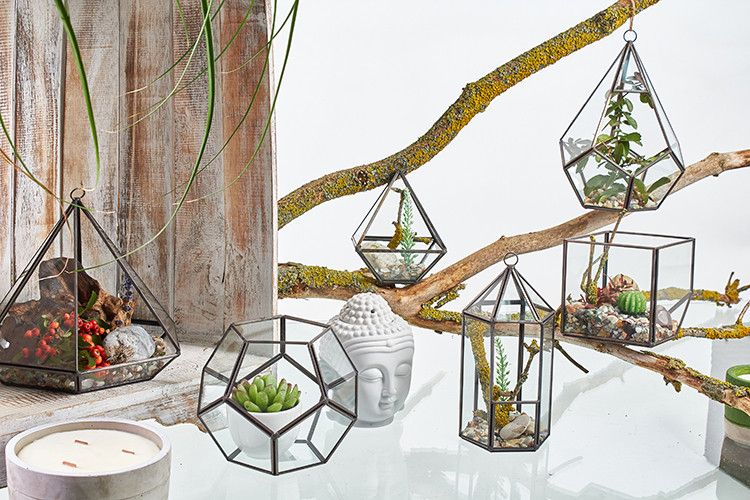 Glazen Terrarium - Vierkant