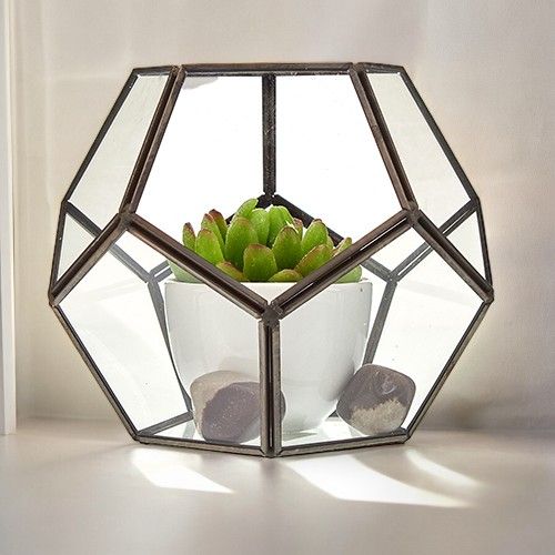 Glazen Terrarium - Grote Achthoek