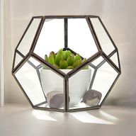 Glazen Terrarium - Grote Achthoek