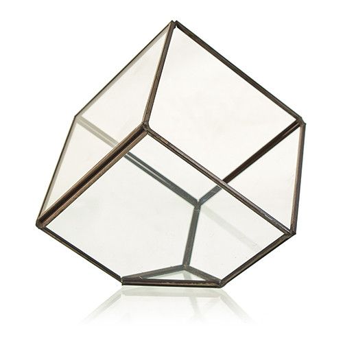 Glazen Terrarium - Vierkant