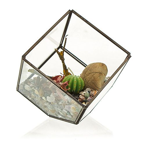 Glazen Terrarium - Vierkant
