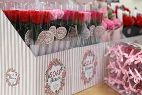 Zeepbloem - Kleine roos