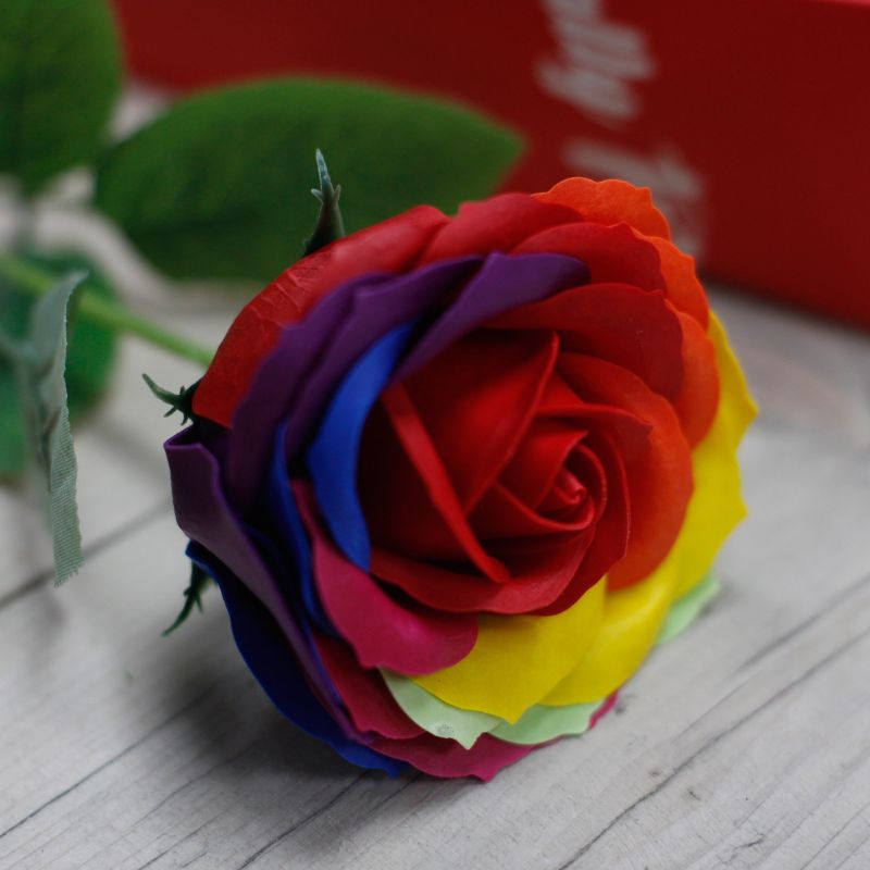 Enkele Roos - Regenboog
